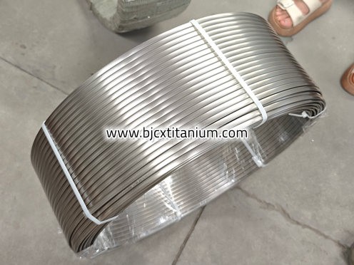 Pure Titanium Flat Wire Pure Titanium Flat Wire